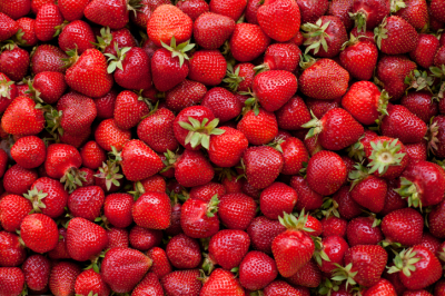 Strawberry-Picking.jpg