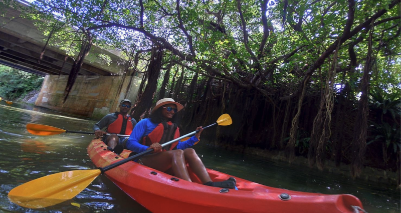 Mangrove Kayaking.png