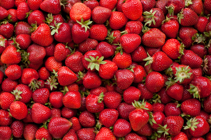 Strawberry-Picking.jpg